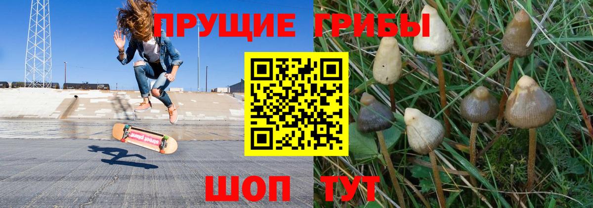Галлюциногенные грибы MAGIC MUSHROOMS Новый Уренгой